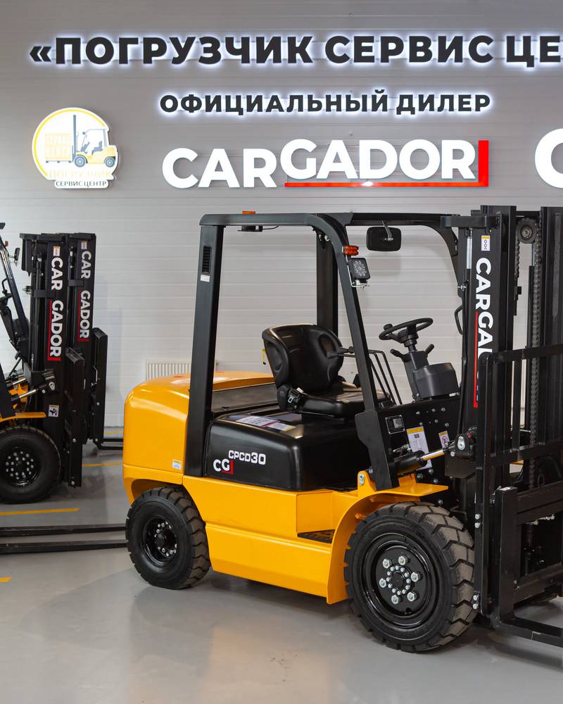 Cargador CPCD30